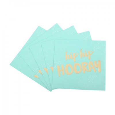 Hens Party Luncheon Size Napkins - Hip Hip Hooray Mint 